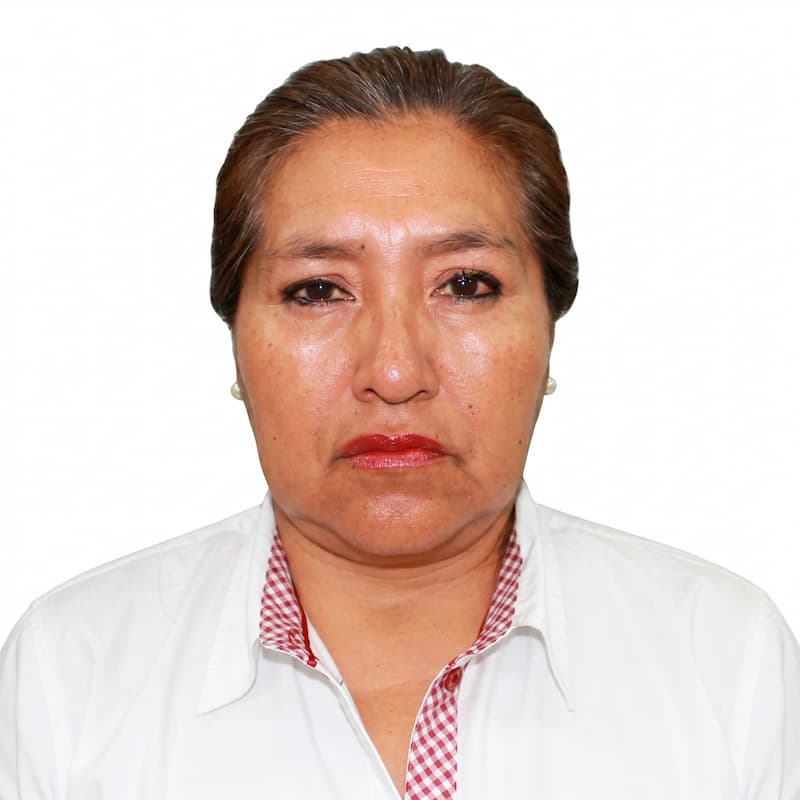 Palomino Pacheco, Amalia Emilia